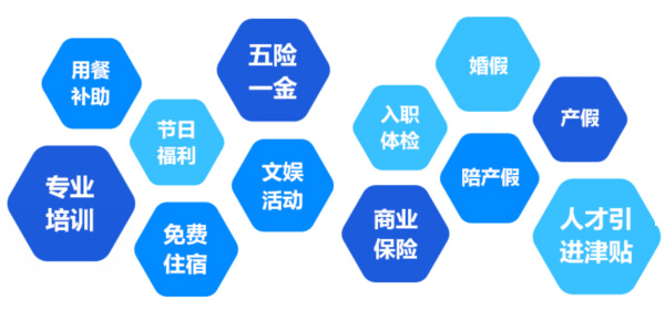 提供全面、系統(tǒng)、專業(yè)的培訓和廣闊的<br>職業(yè)發(fā)展空間和提升機會